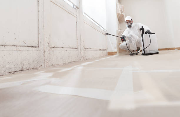 24/7 Emergency Mold Removal experts in Darien, GA
